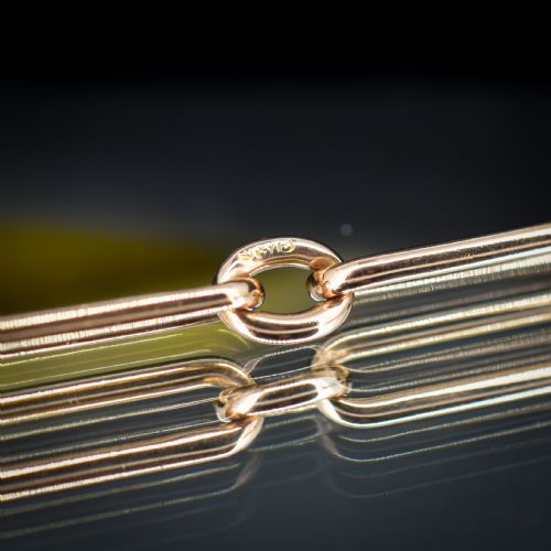 ANTIQUE CHESTER '1895' 9CT GOLD TROMBONE LINK BRACELET WITH DOG CLIP AND TBAR 775 - ADDITIONAL PHOTO 9