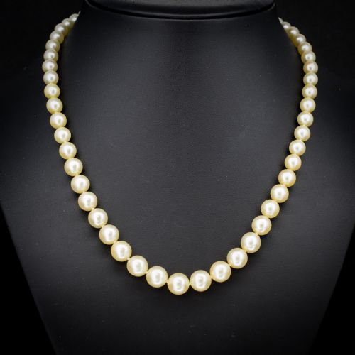fig 1. A graduated strand of cream pearls featuring a yellow gold fluted clasp.
