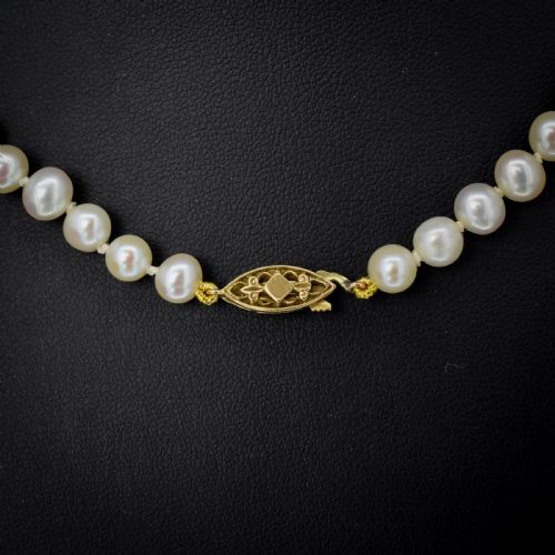 fig 2. A single strand of graduated cream pearls fitted with a detailed yellow gold filigree clasp.