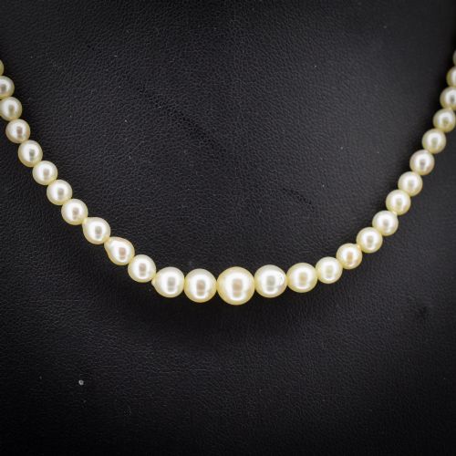 fig 1. A 16-inch single strand necklace of graduated cream pearls fitted with a gold clasp.