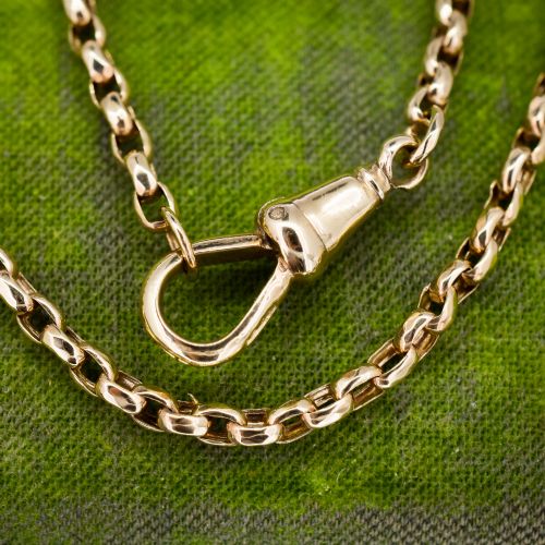 fig 1. An antique Victorian 9ct yellow gold chain necklace with faceted circular links and a dog clip clasp.