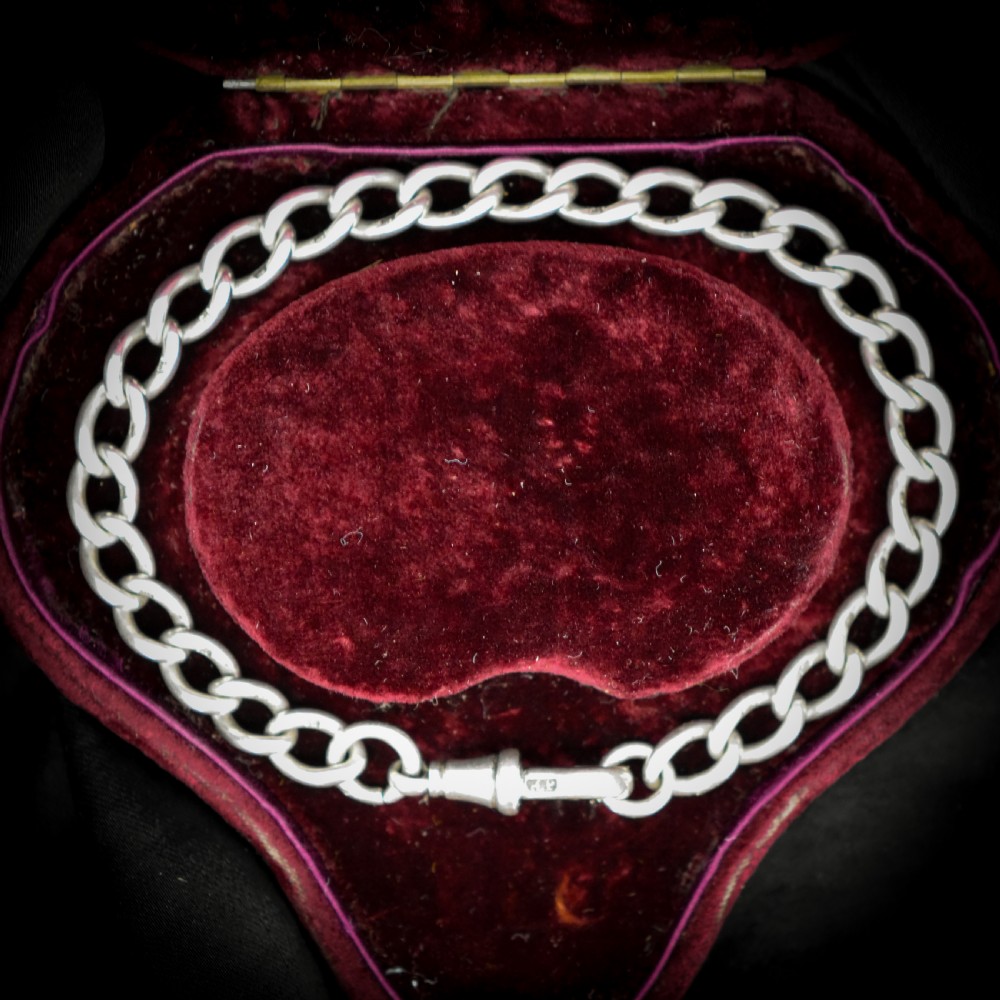 Antique Curb Sterling Silver Bracelet with Dog Clip 8