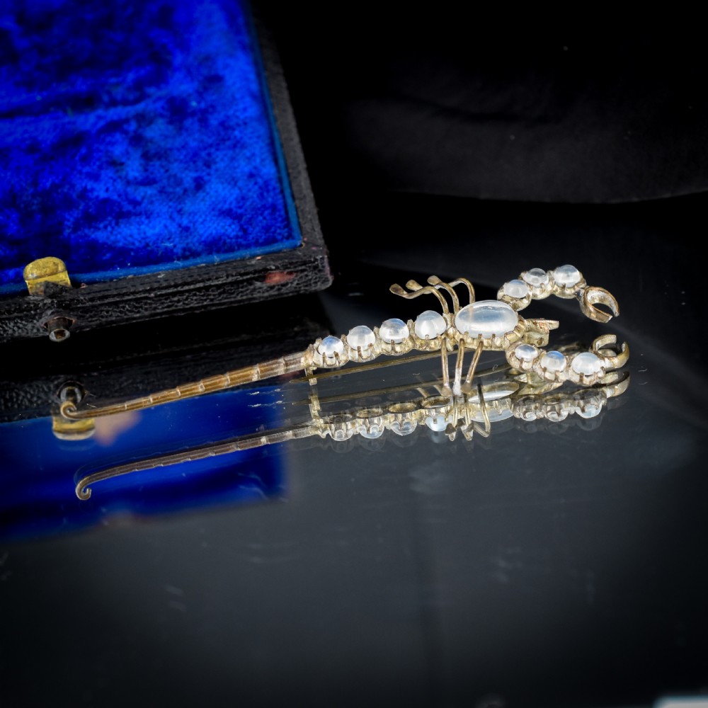 Antique Edwardian Moonstone Scorpion Brooch Pin View IV