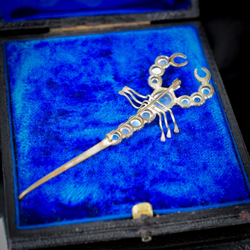 Antique Edwardian Moonstone Scorpion Brooch Pin View VII