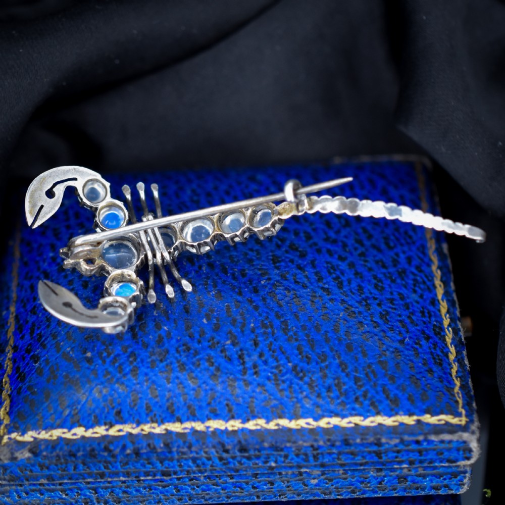 An Edwardian sterling silver brooch designed in the shape of a scorpion, featuring cabochon moonstones along its body and small blue stones for eyes. View IV