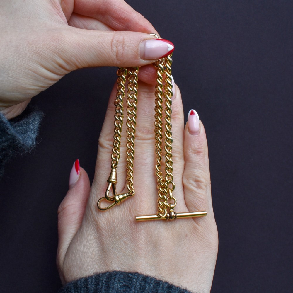 Antique Rolled Gold Curb Chain with T-Bar and Double Dog Clips - 14.5