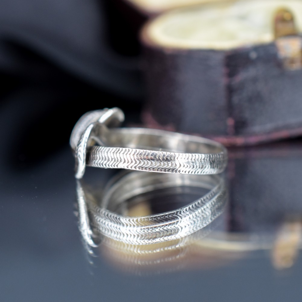 An antique silver ring crafted in the form of a coiled serpent with detailed scale engraving. View VI