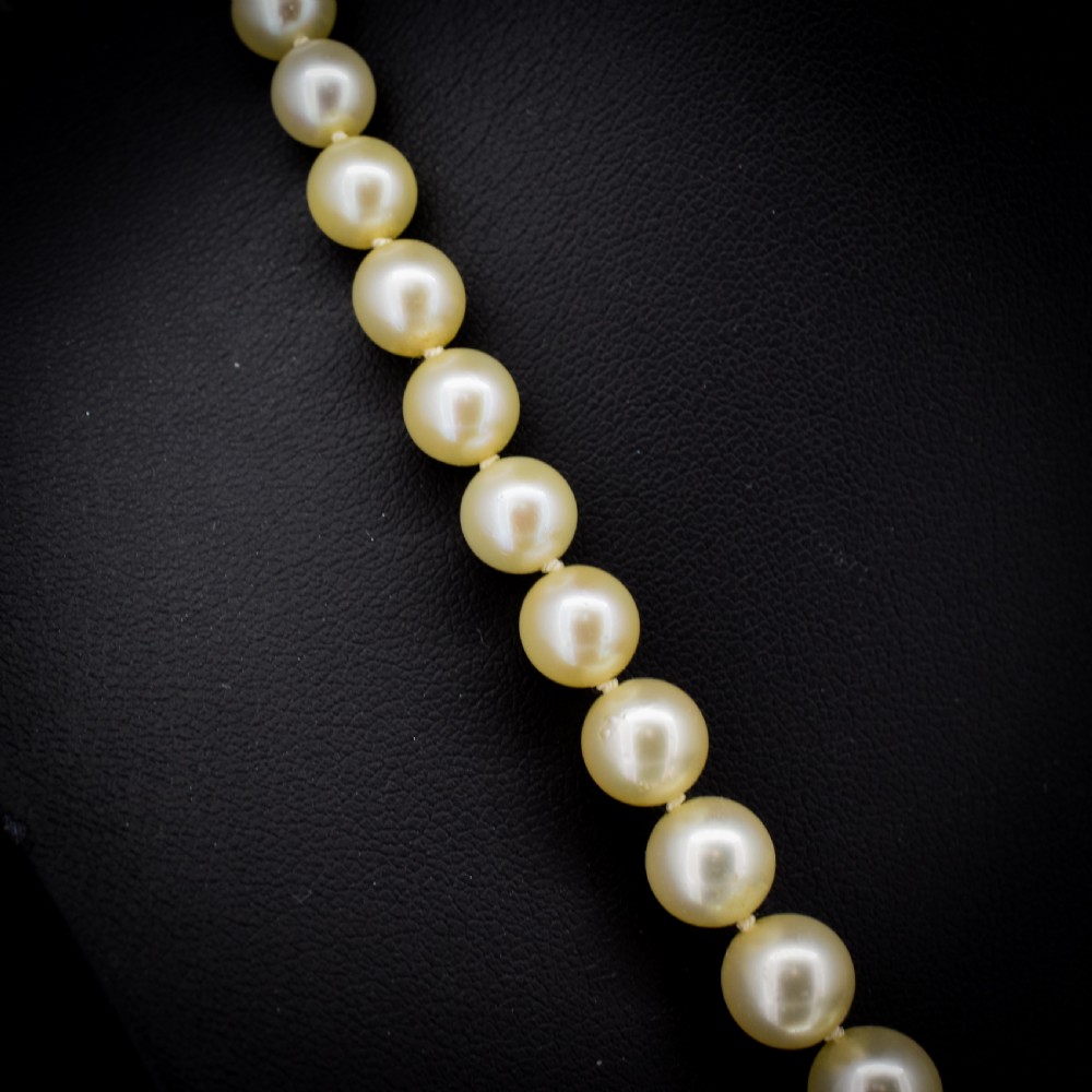 A graduated strand of cream pearls featuring a yellow gold fluted clasp. View IV
