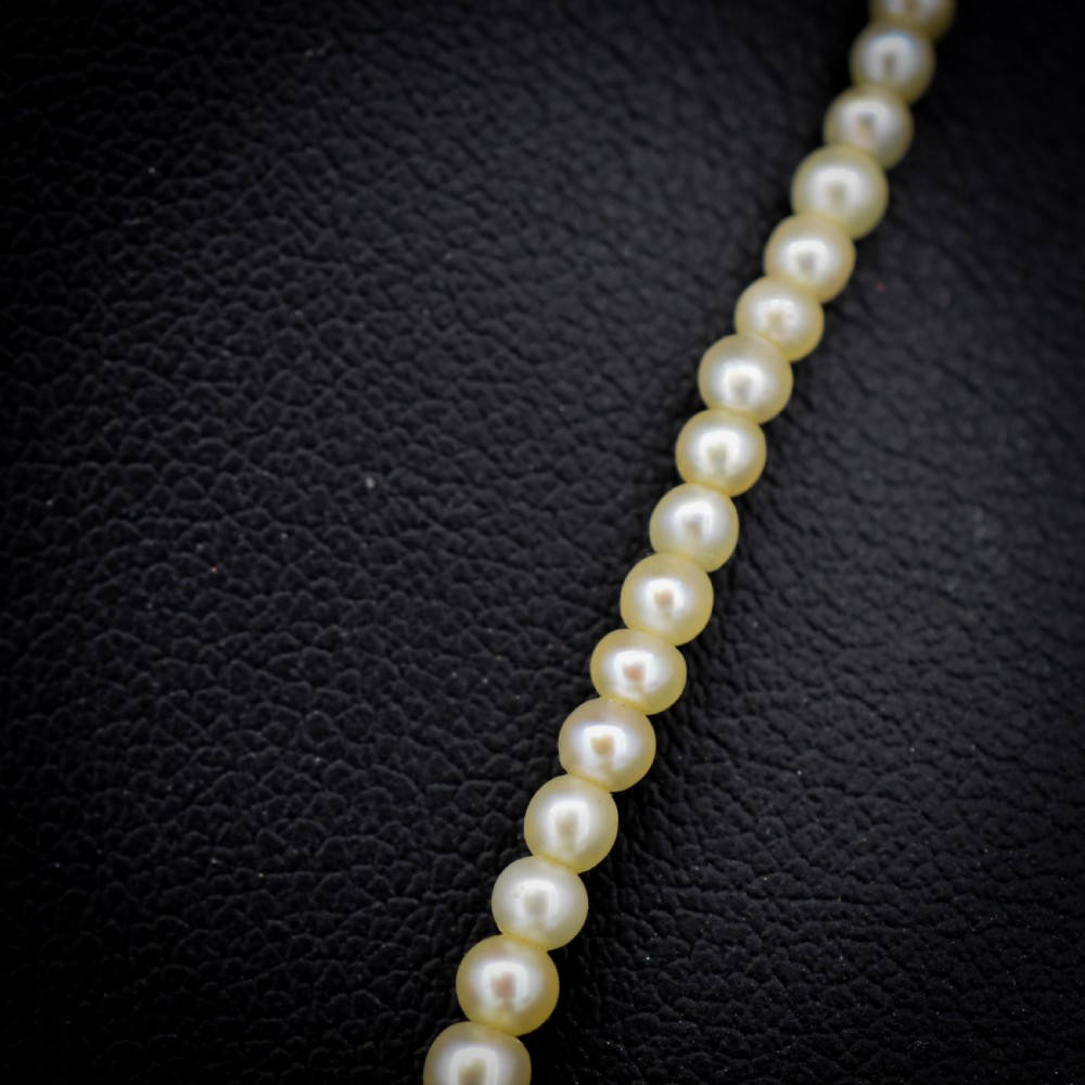 A single strand of graduated cream pearls fitted with an 18ct white gold clasp set with diamonds. View IV