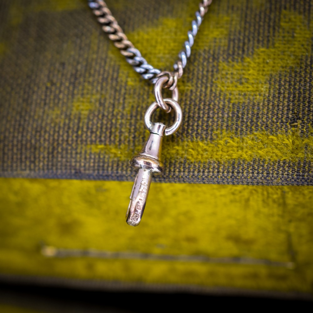 An antique multi-tone metal curb guard chain wrapped in multiple loops with an attached dog clip clasp. View V