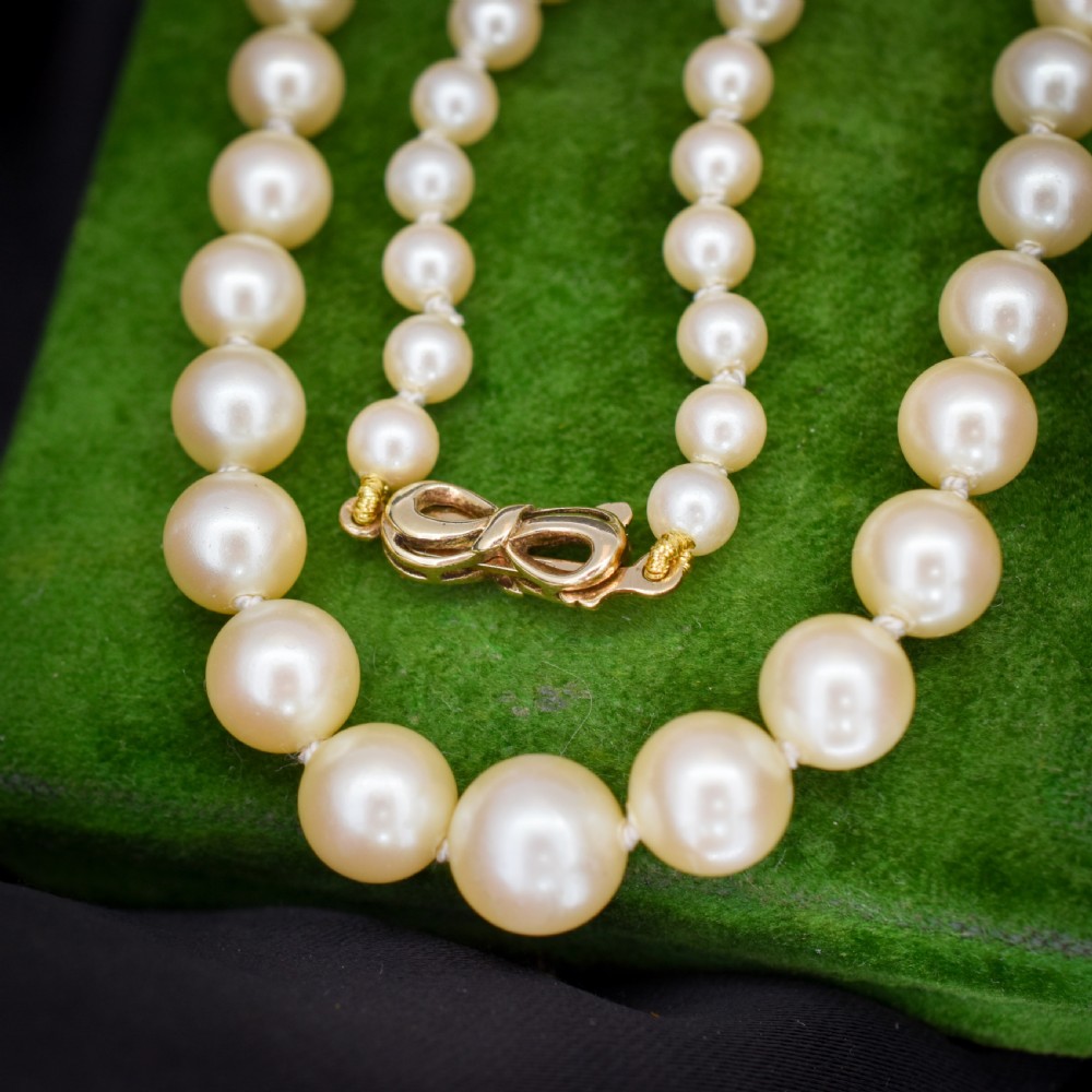 A 17-inch strand of graduated cream pearls featuring individually knotted beads and a gold bow-shaped clasp, resting on green velvet. View V