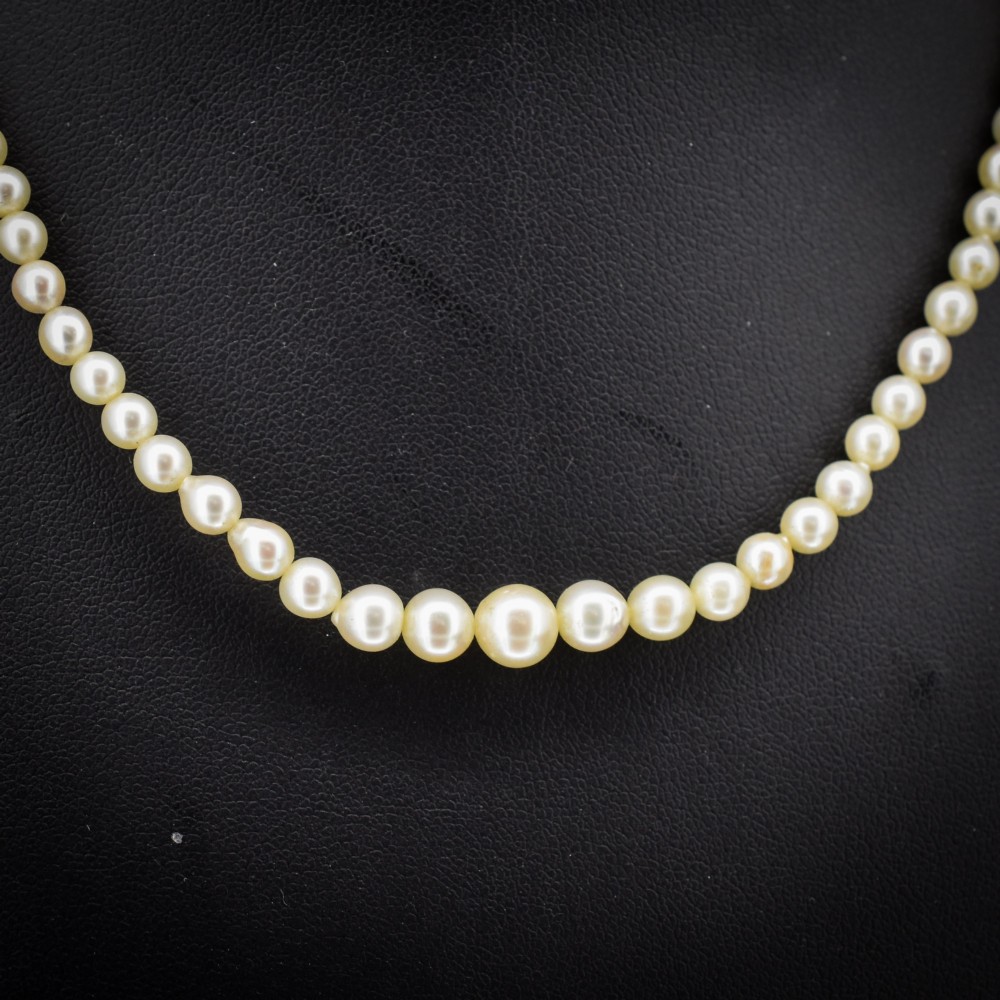 A 16-inch single strand necklace of graduated cream pearls fitted with a gold clasp. View II