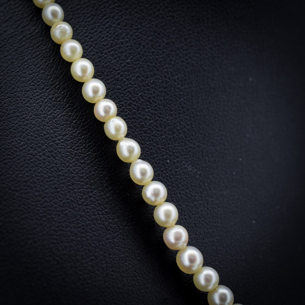A 16-inch single strand necklace of graduated cream pearls fitted with a gold clasp. View III