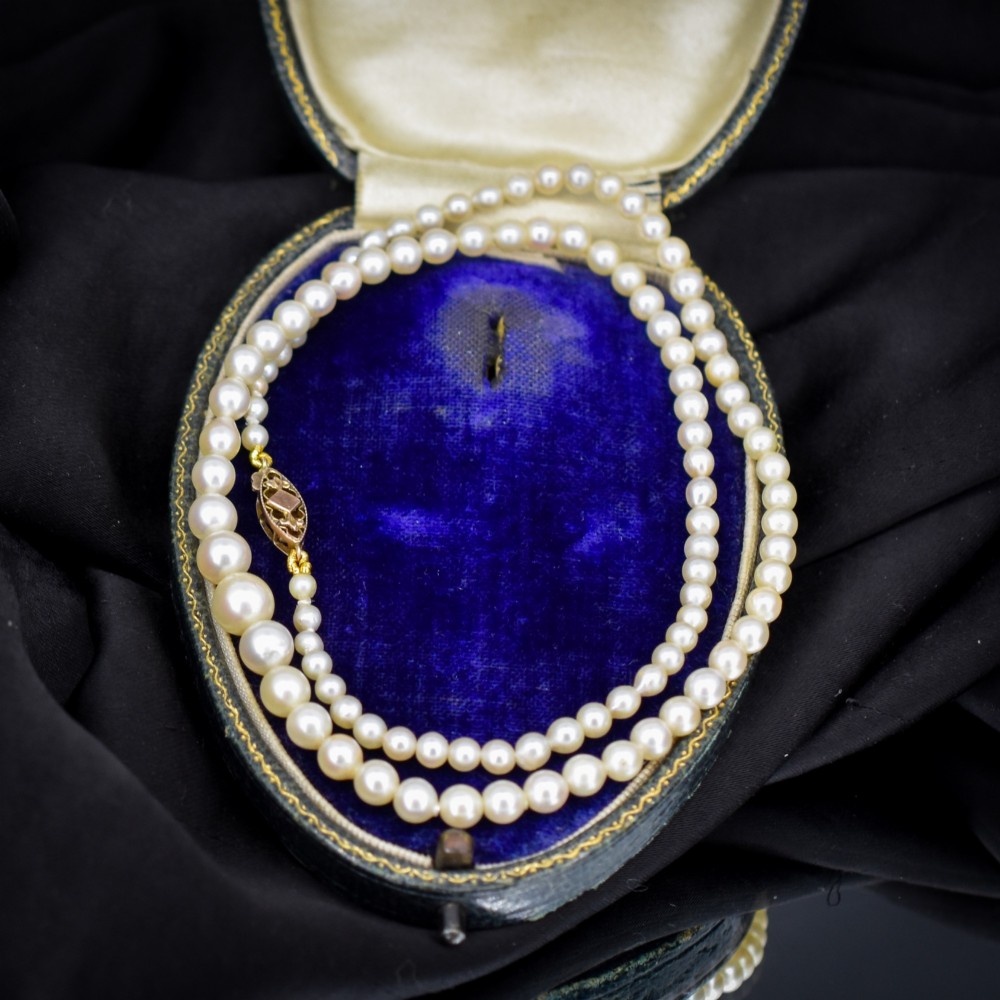 A 16-inch single strand necklace of graduated cream pearls fitted with a gold clasp. View V