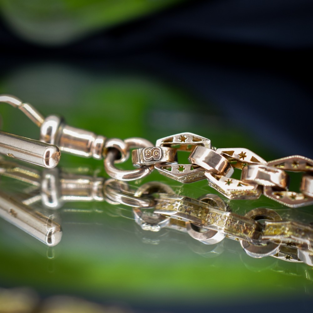 An antique 9ct yellow gold Albert watch chain with star engraved fancy links, a central T-bar, and a swivel dog clip fastener. View IX