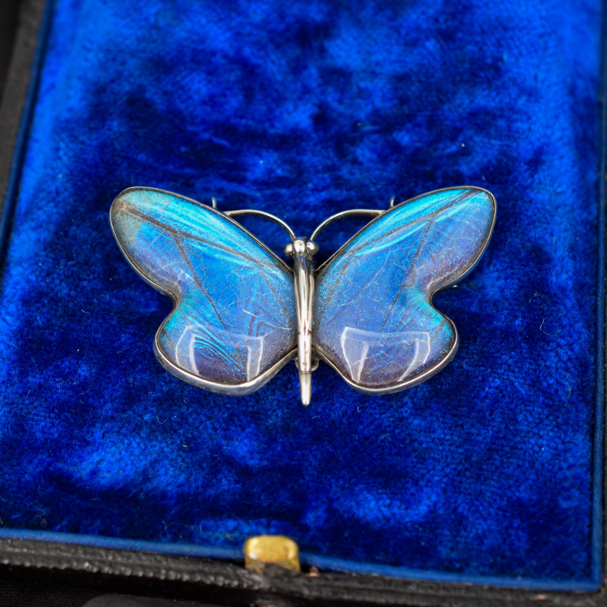 View of Antique Art Deco Sterling Silver Butterfly Wing Butterfly Brooch Pin