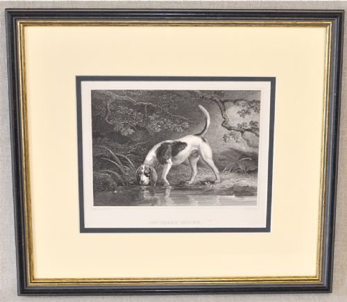 Set Sporting Dog Prints