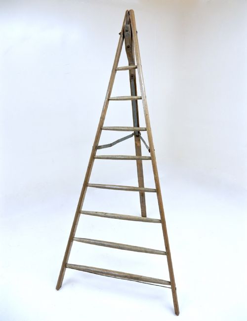 Fruit Picking Ladder