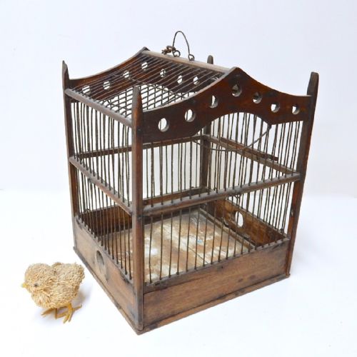 Bird Cage