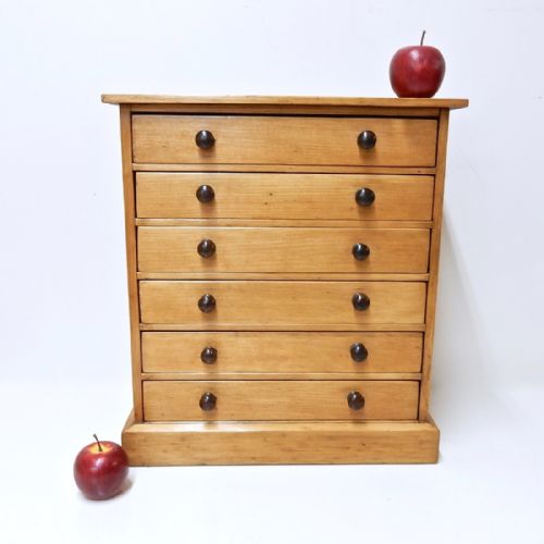 Antique Specimen Chest