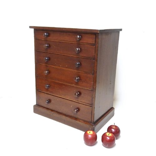 Collector's Specimen Chest