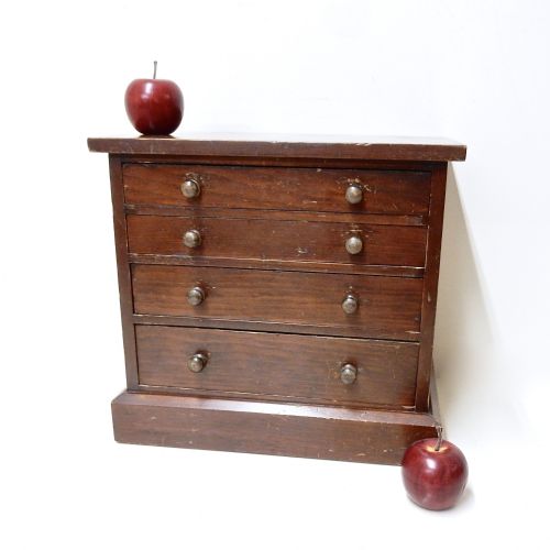 Victorian Specimen Chest