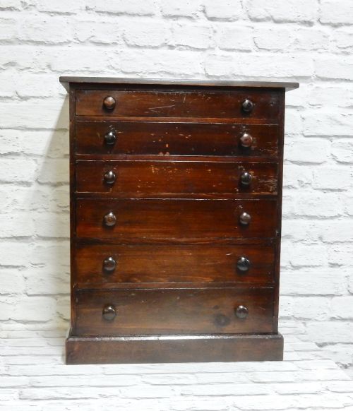C19th Collector's Chest