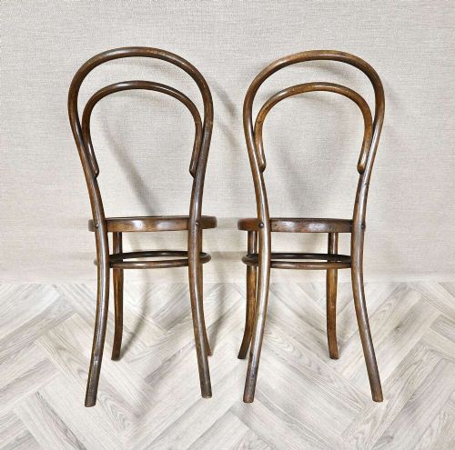 A pair of warm brown steam-bent beech side chairs featuring curved double-loop backs and embossed decorative shell designs on the circular plywood seats. View IV