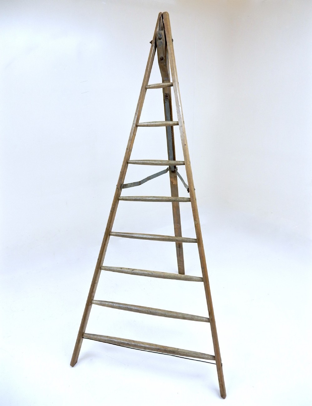 Fruit Picking Ladder