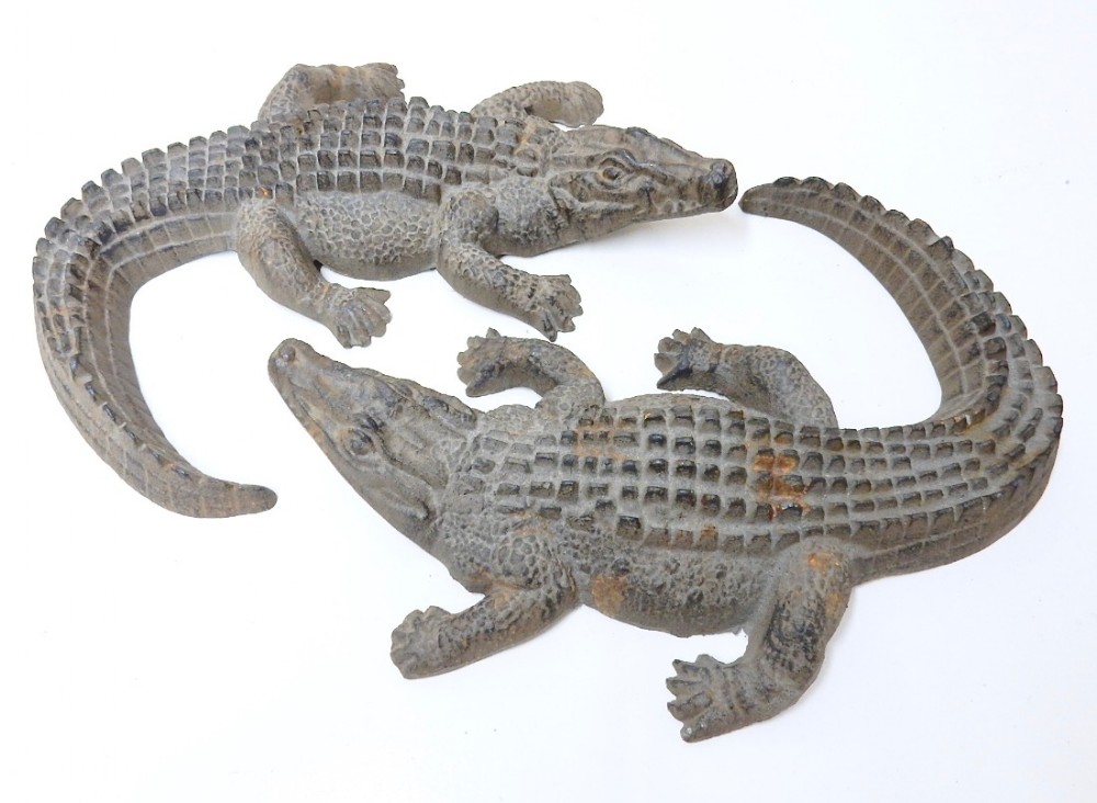 A Pair of Old Crocs