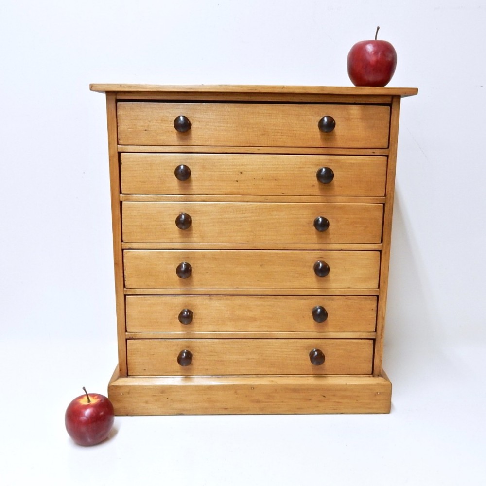 Antique Specimen Chest
