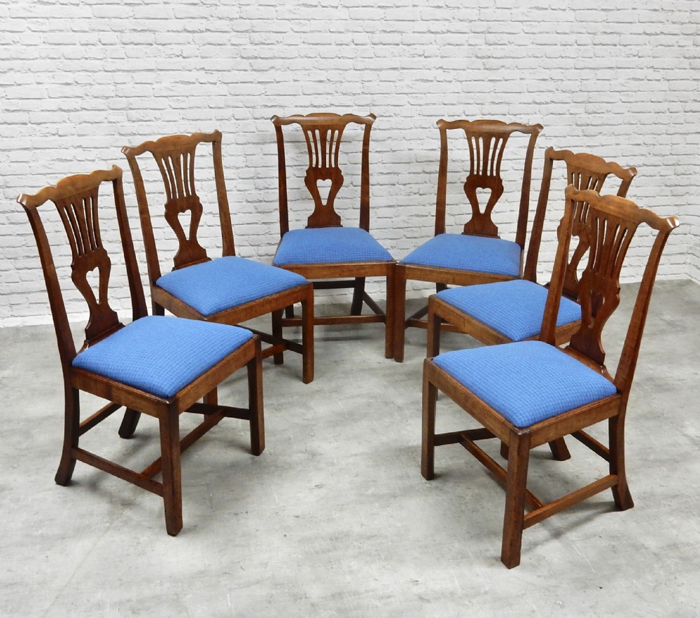 Set 6 Fruitwood Dining Chairs