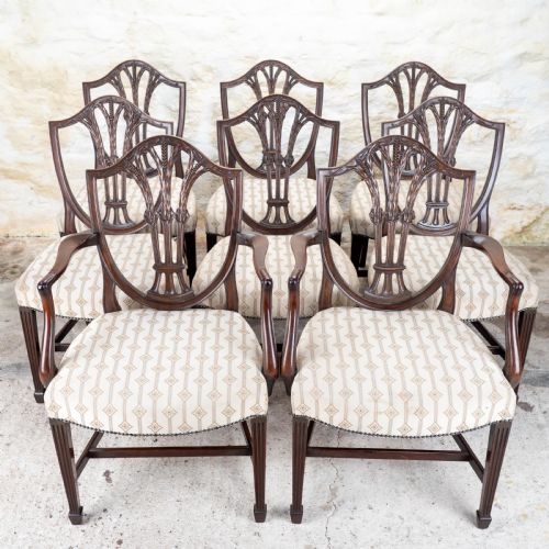 set of 8 georgian hepplewhite mahogany dining chairs carvers c19th - CATEGORY: ANTIQUE CHAIRS - DATED 19TH CENTURY