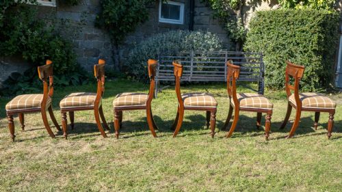 SET OF 6 REGENCY MAHOGANY UPHOLSTERED DINING CHAIRS C1830 WILLIAM IV - ADDITIONAL PHOTO 9