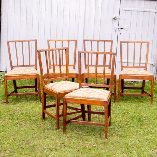 elm sheraton country vernacular style upholstered set of 6 dining chairs - CATEGORY: ANTIQUE CHAIRS - DATED GEORGIAN