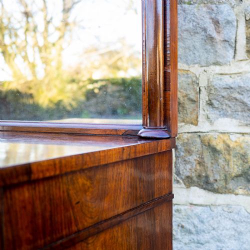 REGENCY ROSEWOOD PIER GLASS MIRROR CABINET GEORGE IV III GEORGIAN - ADDITIONAL PHOTO 16