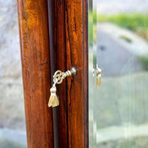 REGENCY ROSEWOOD PIER GLASS MIRROR CABINET GEORGE IV III GEORGIAN - ADDITIONAL PHOTO 17