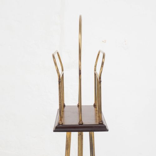 C19TH MAHOGANY BRASS REVOLVING MAGAZINE OR BOOK STAND REGENCY - ADDITIONAL PHOTO 8