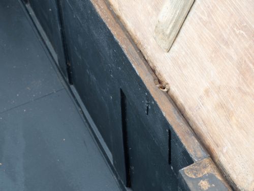 CAROLEAN C17TH LATER CARVED DARK OAK CARVED MULE CHEST COFFER KIST JACOBEAN - ADDITIONAL PHOTO 22