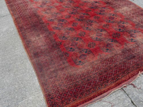 ANTIQUE C19TH ERSARI TURKMEN AFGHAN CARPET 15'6 X 9'7 479X291 CM LARGE RUG - ADDITIONAL PHOTO 6