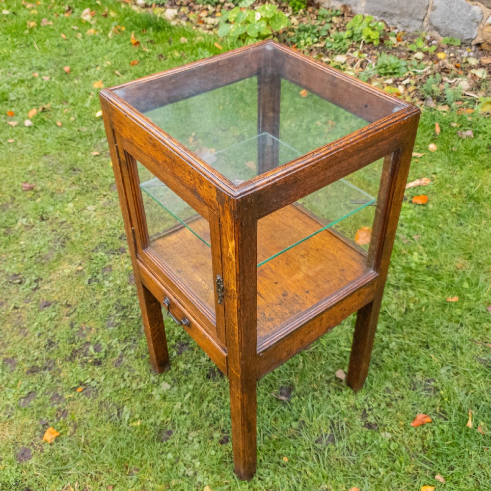 Edwardian Oak Glazed Display Cabinet C1905 View X