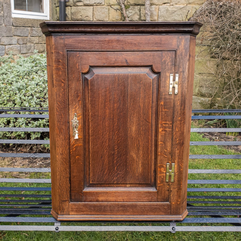 Georgian Oak Panelled Wall Hanging Corner Cabinet View II