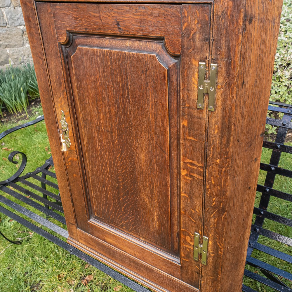 Georgian Oak Panelled Wall Hanging Corner Cabinet View IV
