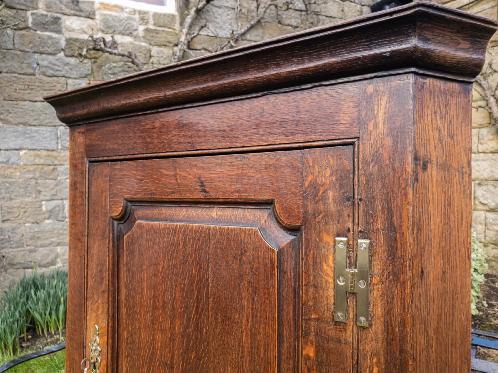 Georgian Oak Panelled Wall Hanging Corner Cabinet View V