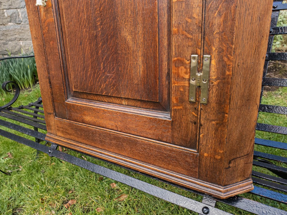 Georgian Oak Panelled Wall Hanging Corner Cabinet View VII