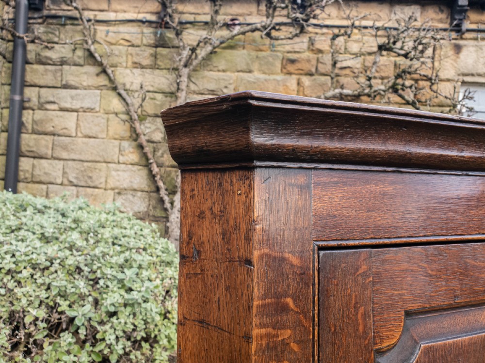 Georgian Oak Panelled Wall Hanging Corner Cabinet View VIII