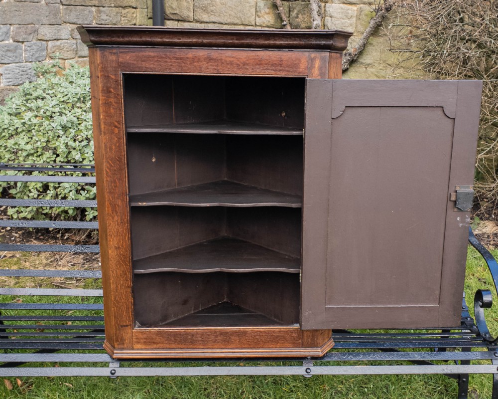 Georgian Oak Panelled Wall Hanging Corner Cabinet View X