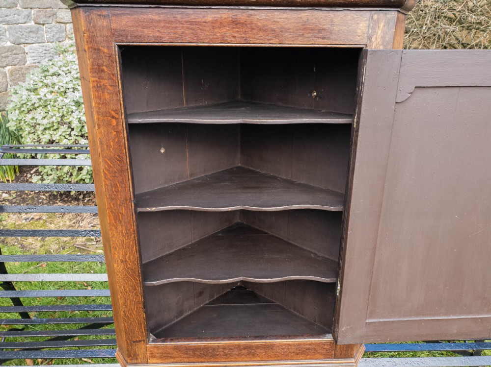 Georgian Oak Panelled Wall Hanging Corner Cabinet View XI