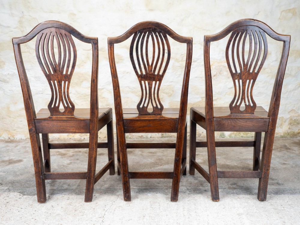 Georgian Chippendale Set of 3 Elm Country Dining Chairs View VI