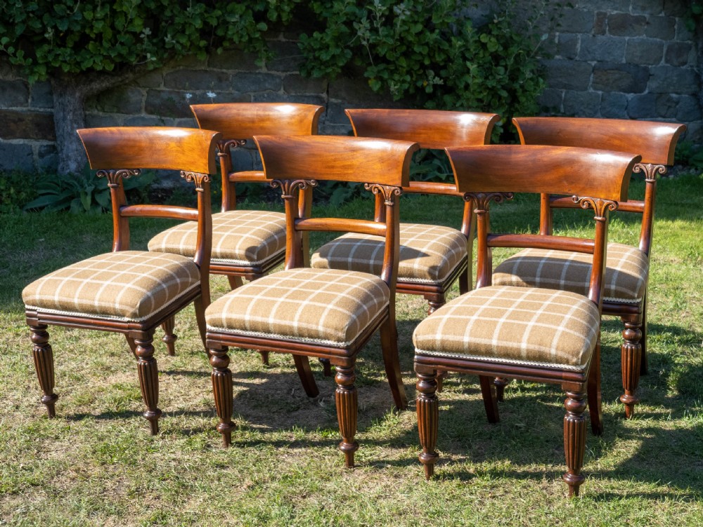Set of 6 Regency Mahogany Upholstered Dining Chairs C1830 (William IV) View II